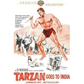 DVD TARZAN EROBERT INDIEN Jock Mahoney (FSK 12) - gebraucht