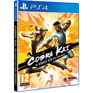 PS4 Cobra KaiThe Karate Kid Saga Continues gebraucht