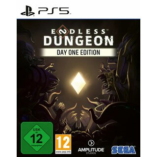 PS5 Endless Dungeon D1 gebraucht